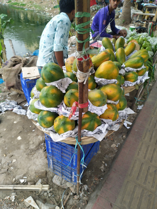 Papaya Inbox 10 Kgs packed